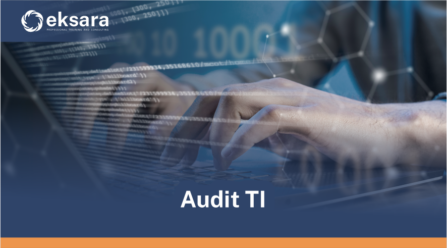 Audit TI